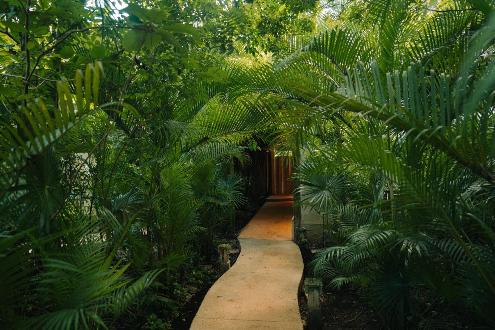 Aldea Coba An Escape Boutique Experience Hotel Exterior photo